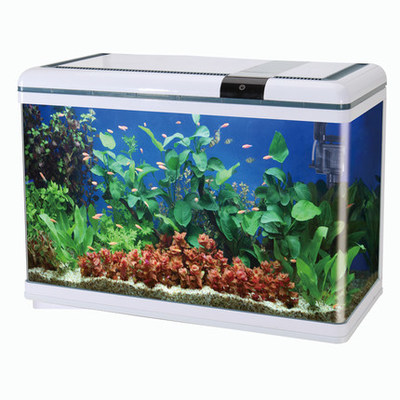 博宇魚缸水族箱 詳細分析與購買建議