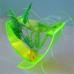 定制一方心水 亞克力心形魚缸的靈動世界
